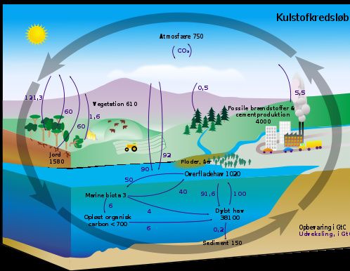 







































































































Diagram over kulstofkredsløbet i atmosfæren.