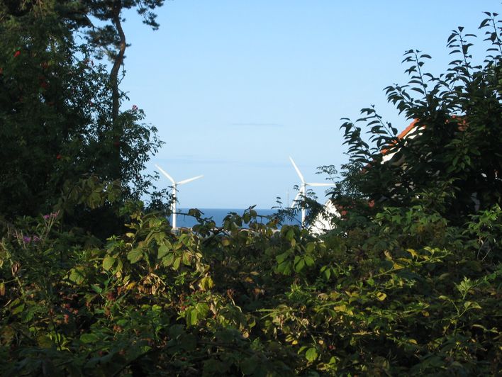 20 meter fra sommerhuset over en høj hæk kommer vindmøllerne frem!!... 